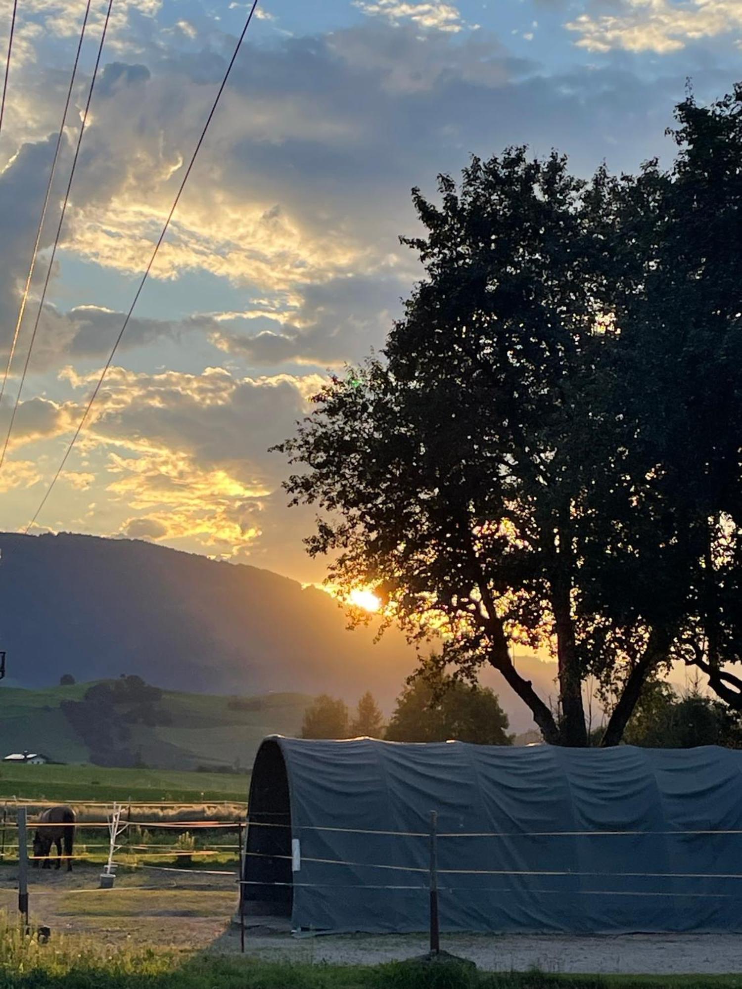 Apartmán Obermuehlhof Saalfelden Exteriér fotografie